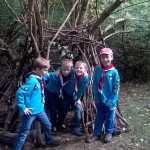 Beavers Go Wild